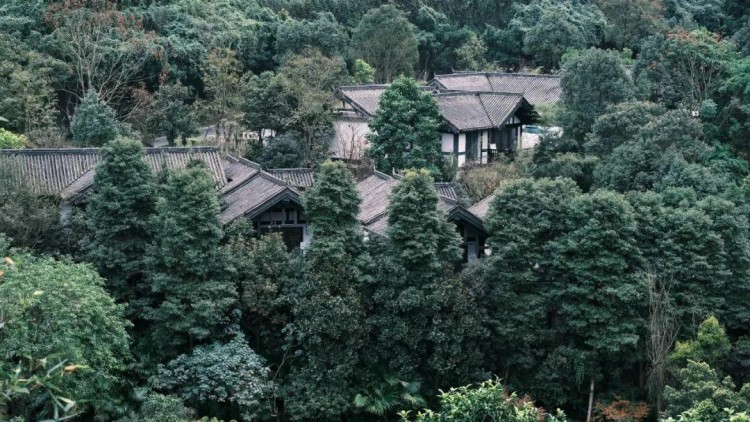 重庆北碚悦榕庄|山居泡温泉醉卧松林间